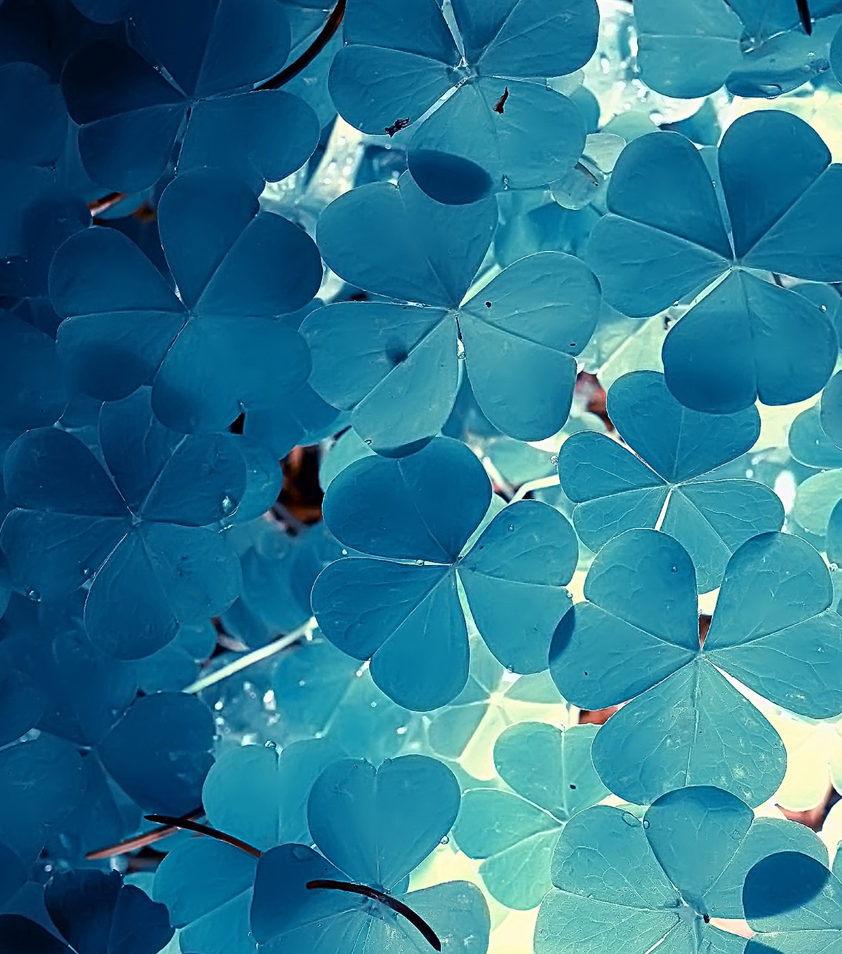 profumazione plastica bio
